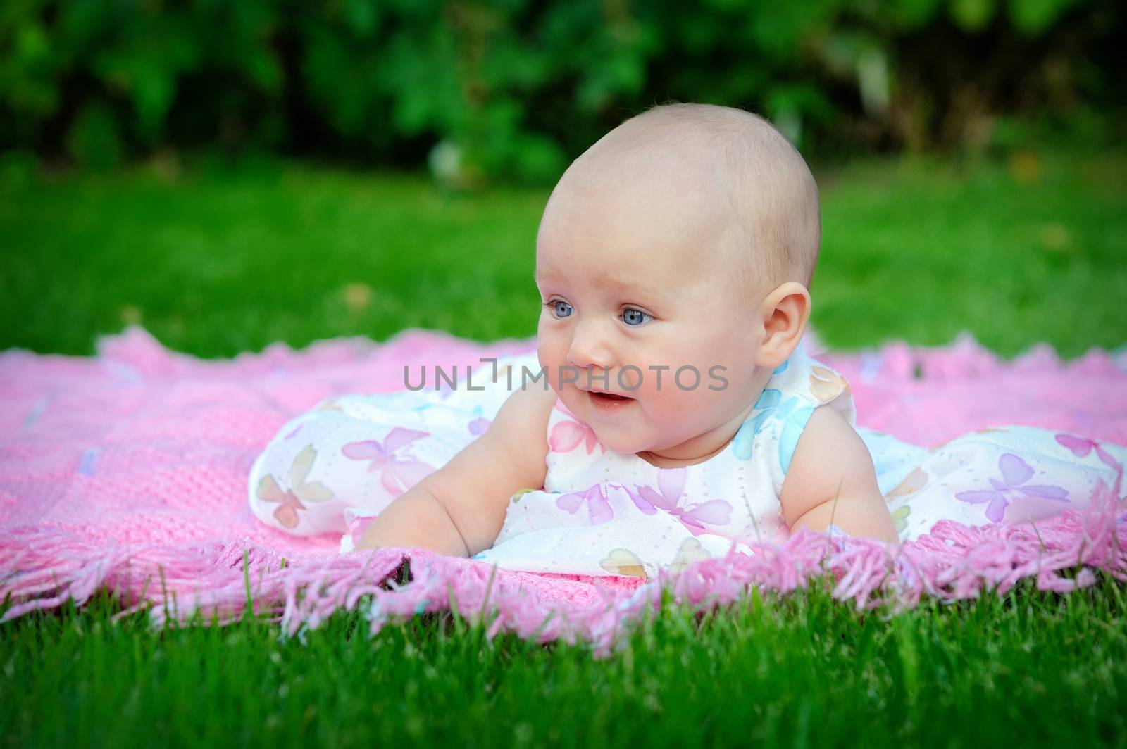 Portrait of little girl in the grass outdoors.  by timonko