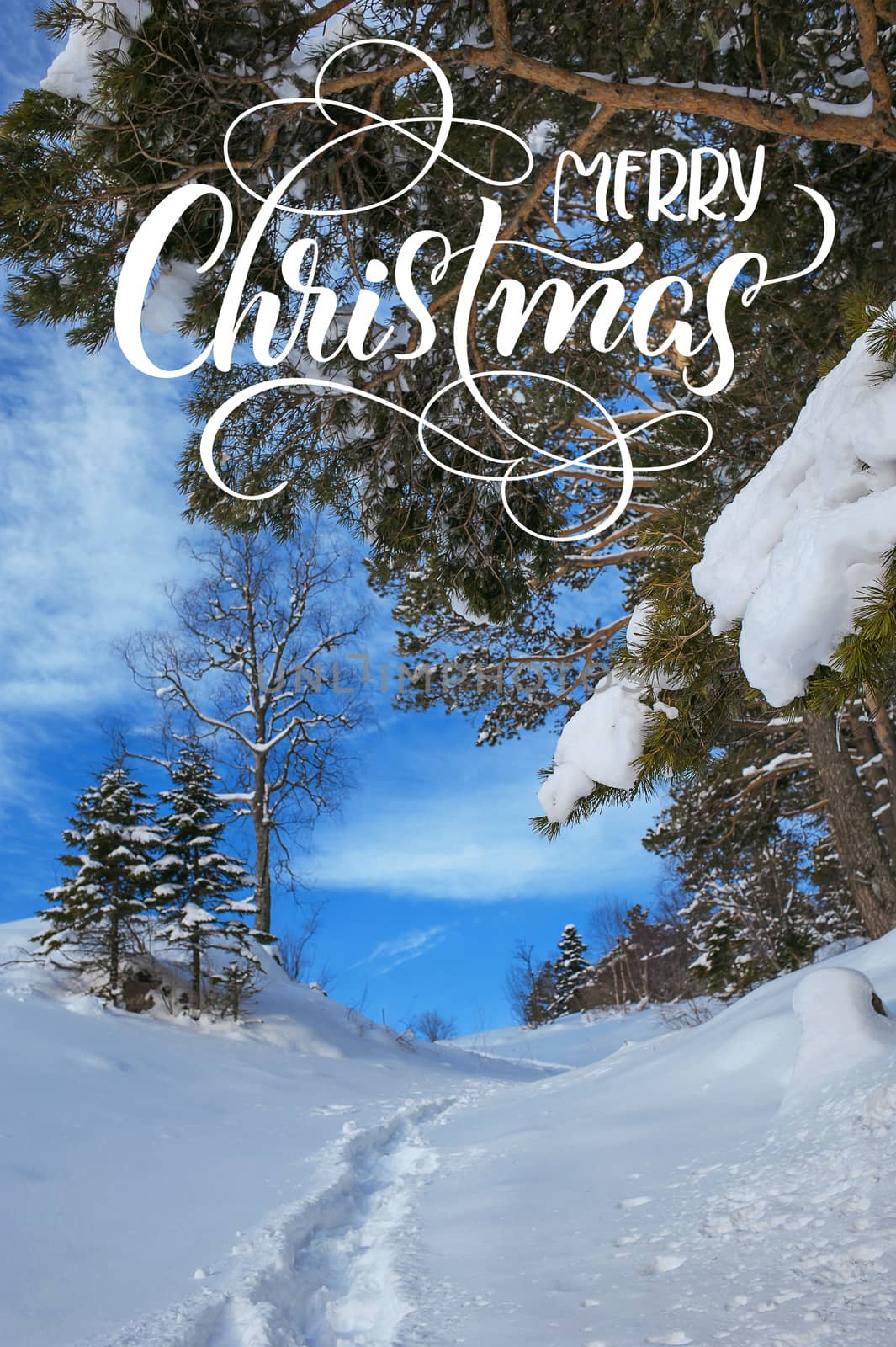Winter landscape with fresh snow in a mountain forest and text Merry Christmas. Calligraphy lettering.