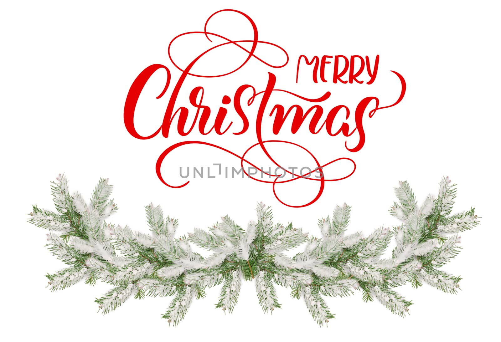 Fir branches in the snow on a white background and text of Merry Christmas. lettering calligraphy.