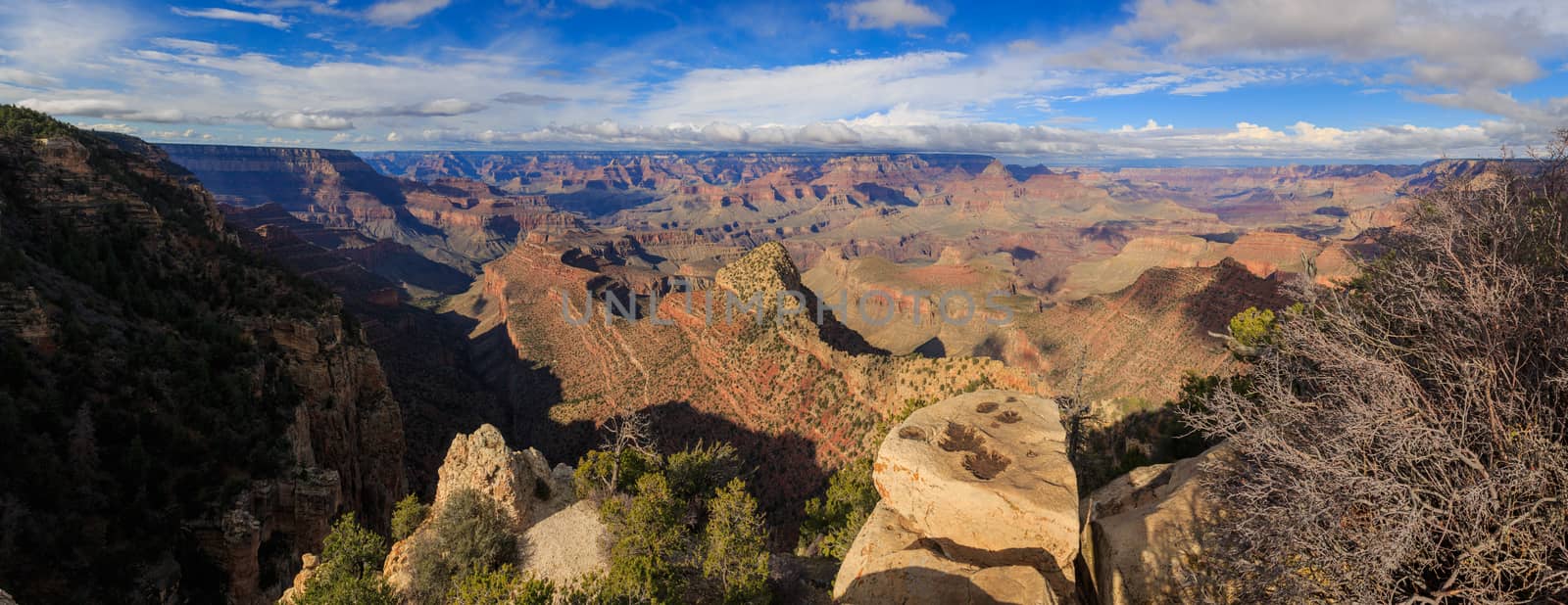 Beautiful Landscape of Grand Canyon, South Rim, Arizona, United  by dpetrakov