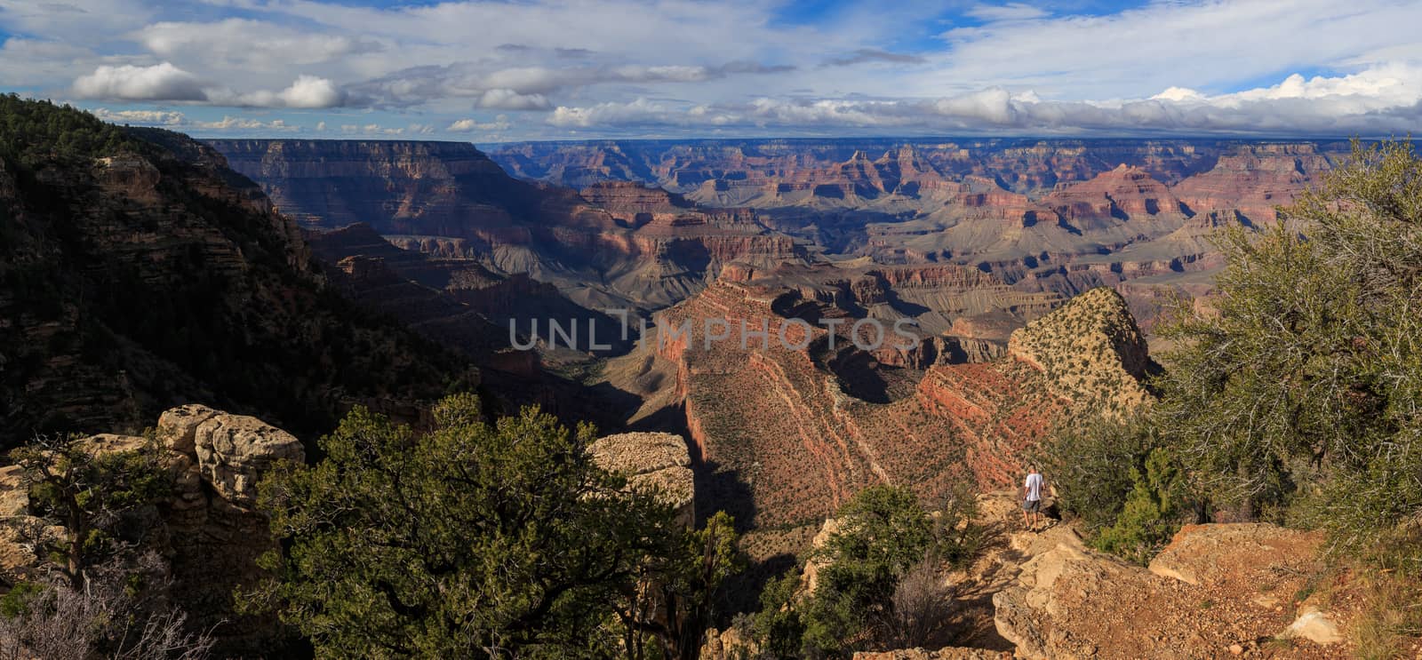 Beautiful Landscape from South Rim of Grand Canyon, Arizona, United States