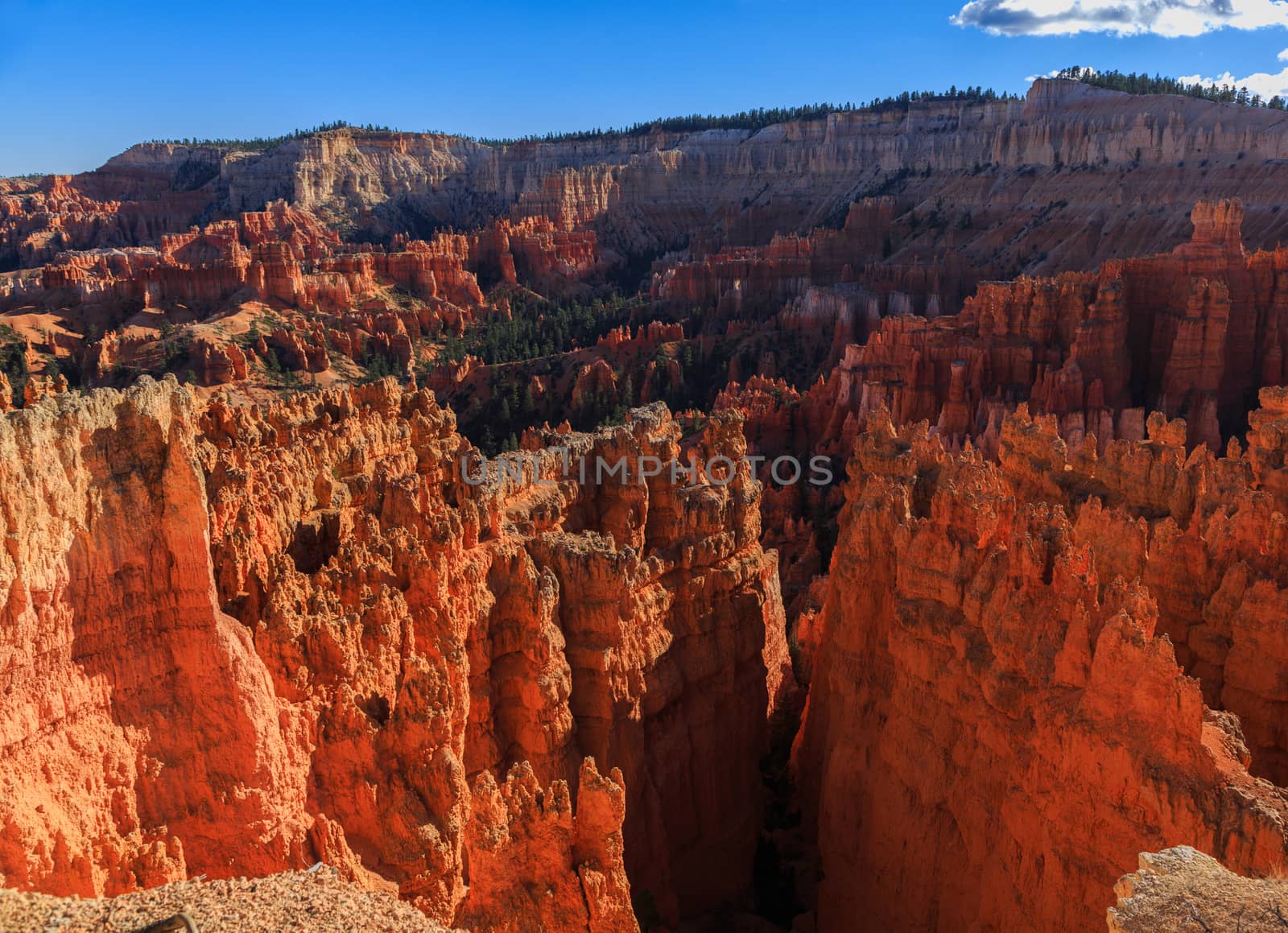 Amazing scenic view of the hoodoos. Bryce Canyon National Park, Utah, USA