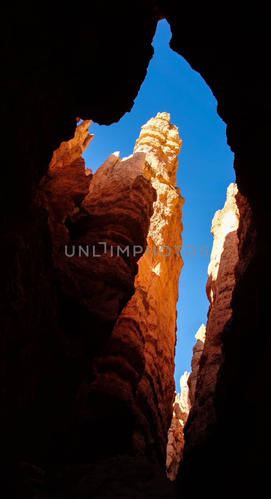 View from the bottom of canyon. Bryce Canyon National Park, Utah by dpetrakov