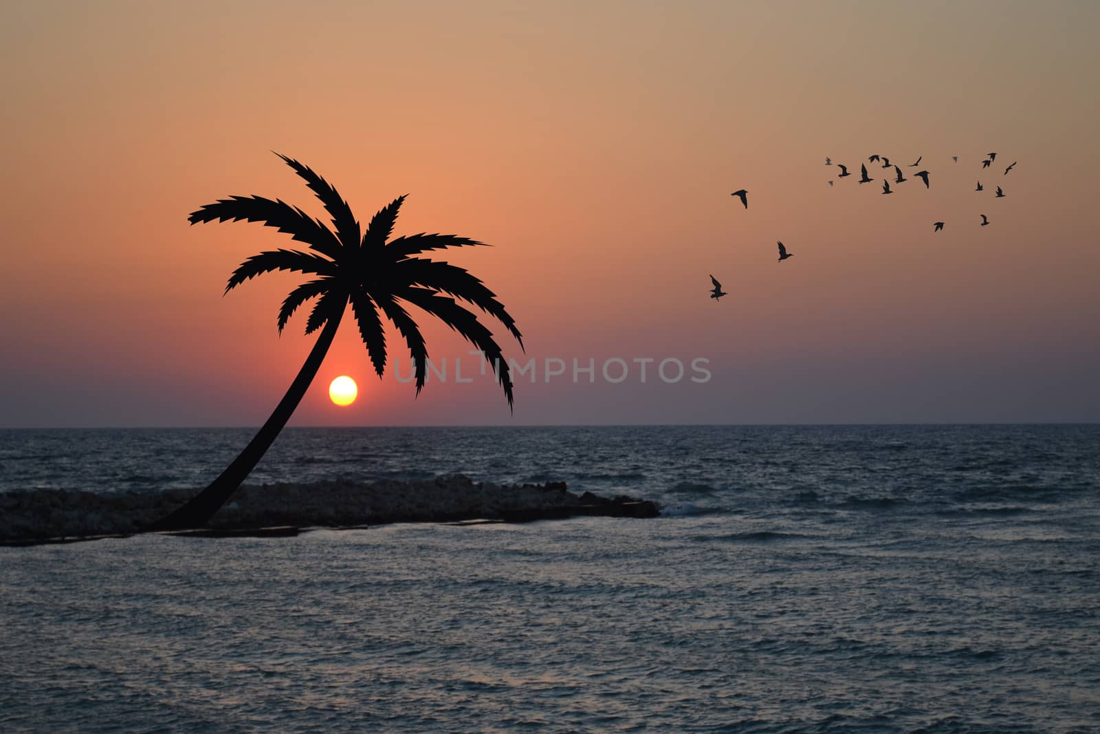 Sea coast with palm on sunrise by hibrida13