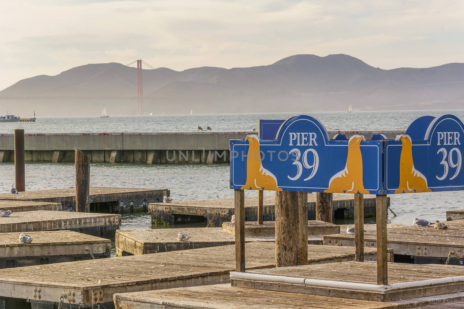 Pier 39 in San Francisco by rarrarorro