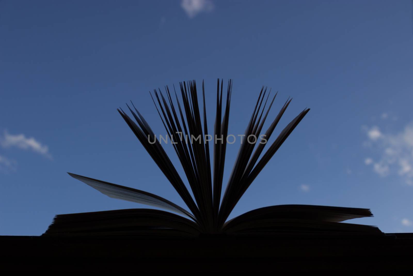 silhouette of open book on blue sky background