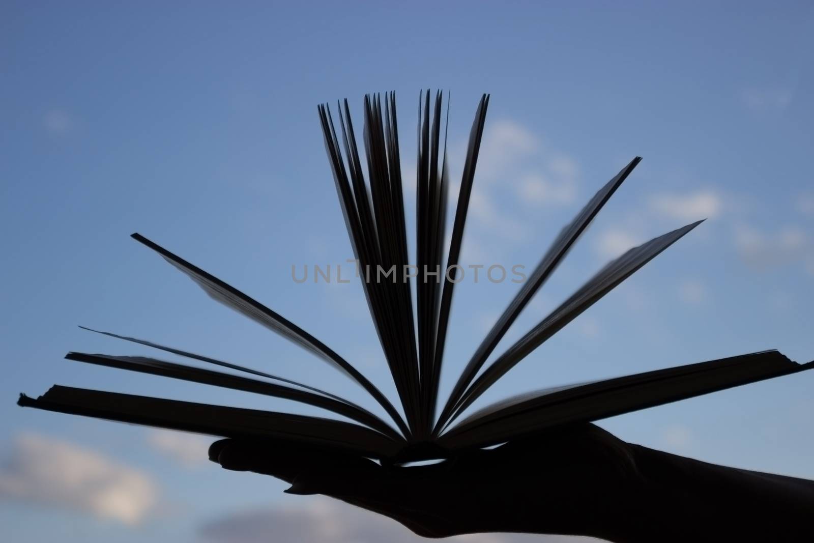 silhouette of open book in hand on blue sky background