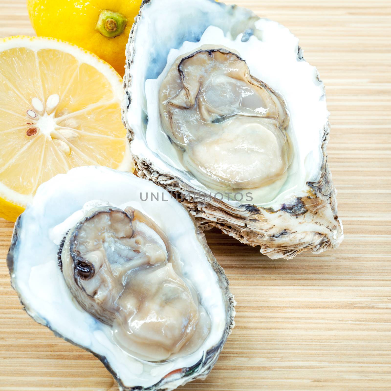 Fresh Oysters with lemon on  wooden background. Opened Oysters with selective focus on wooden texture .