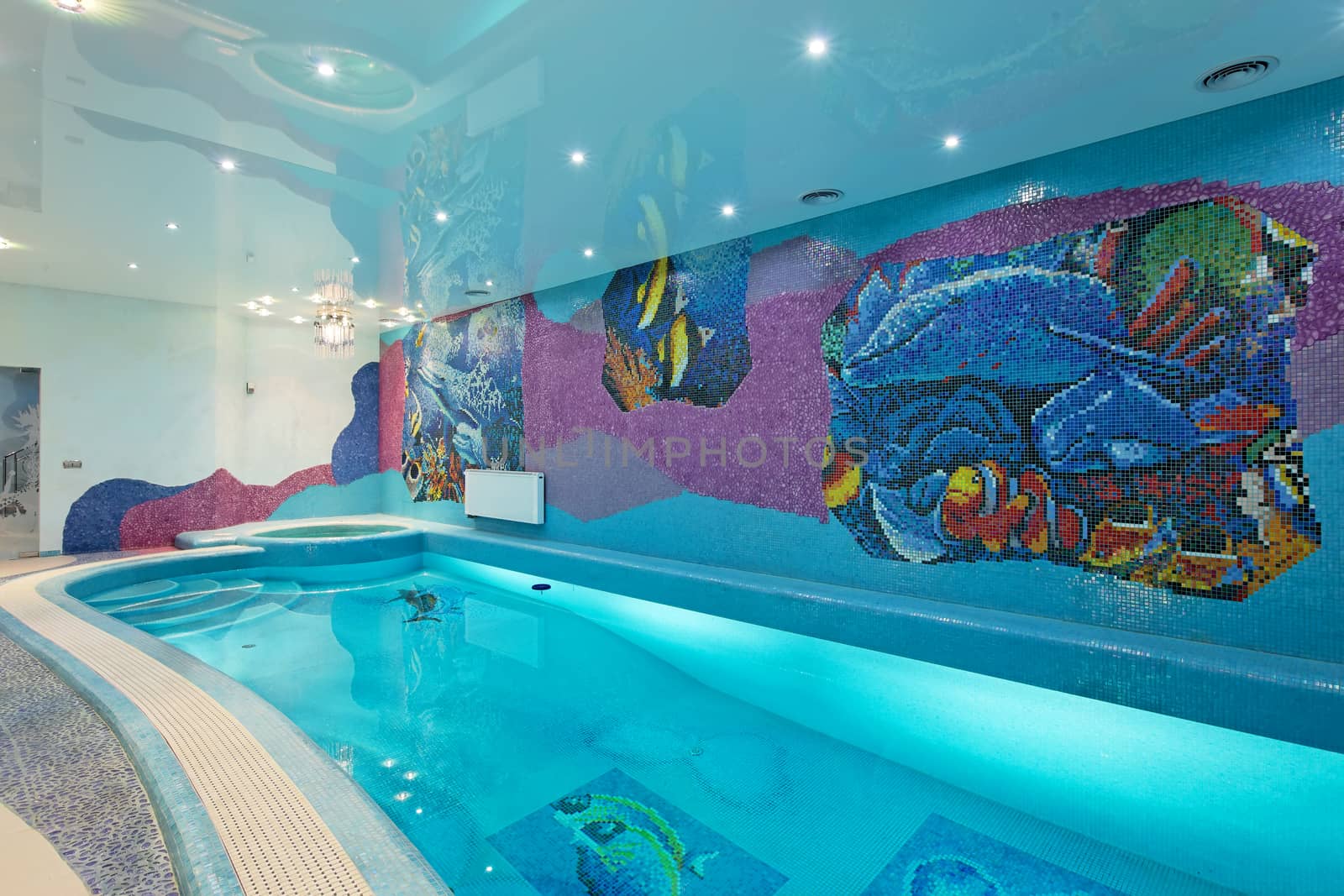Spa swimming pool design with mosaic fish on the wall and blue mosaic