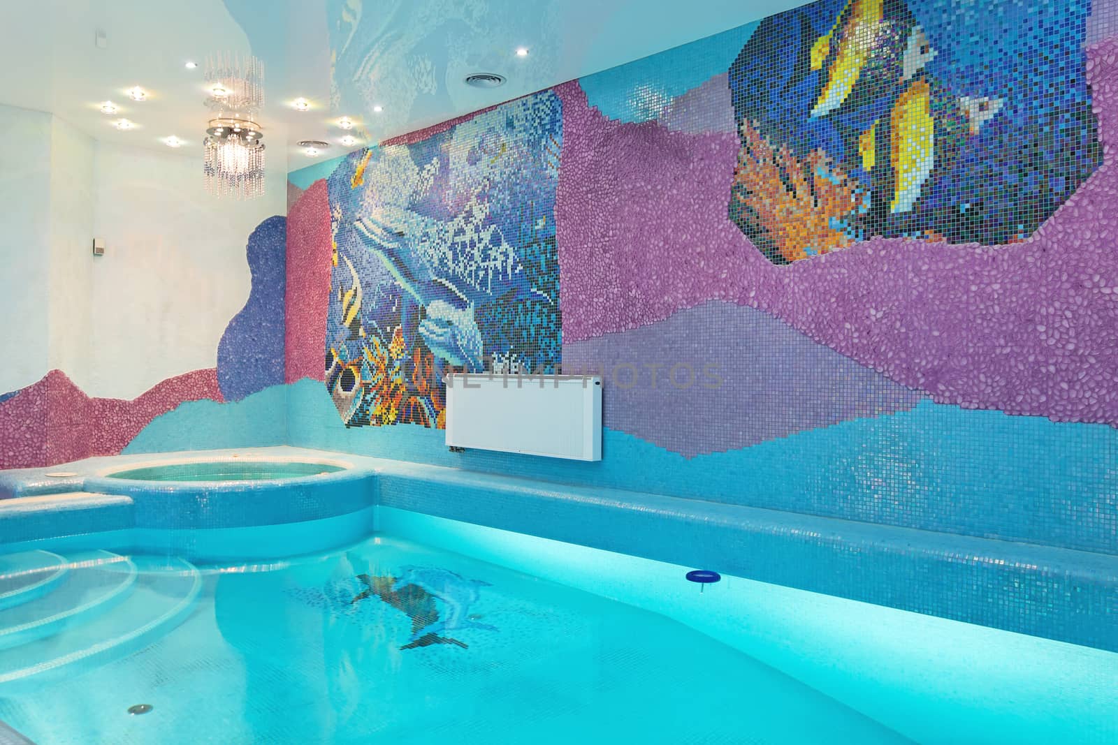 Swimming pool design with mosaic fish on the wall by RawGroup