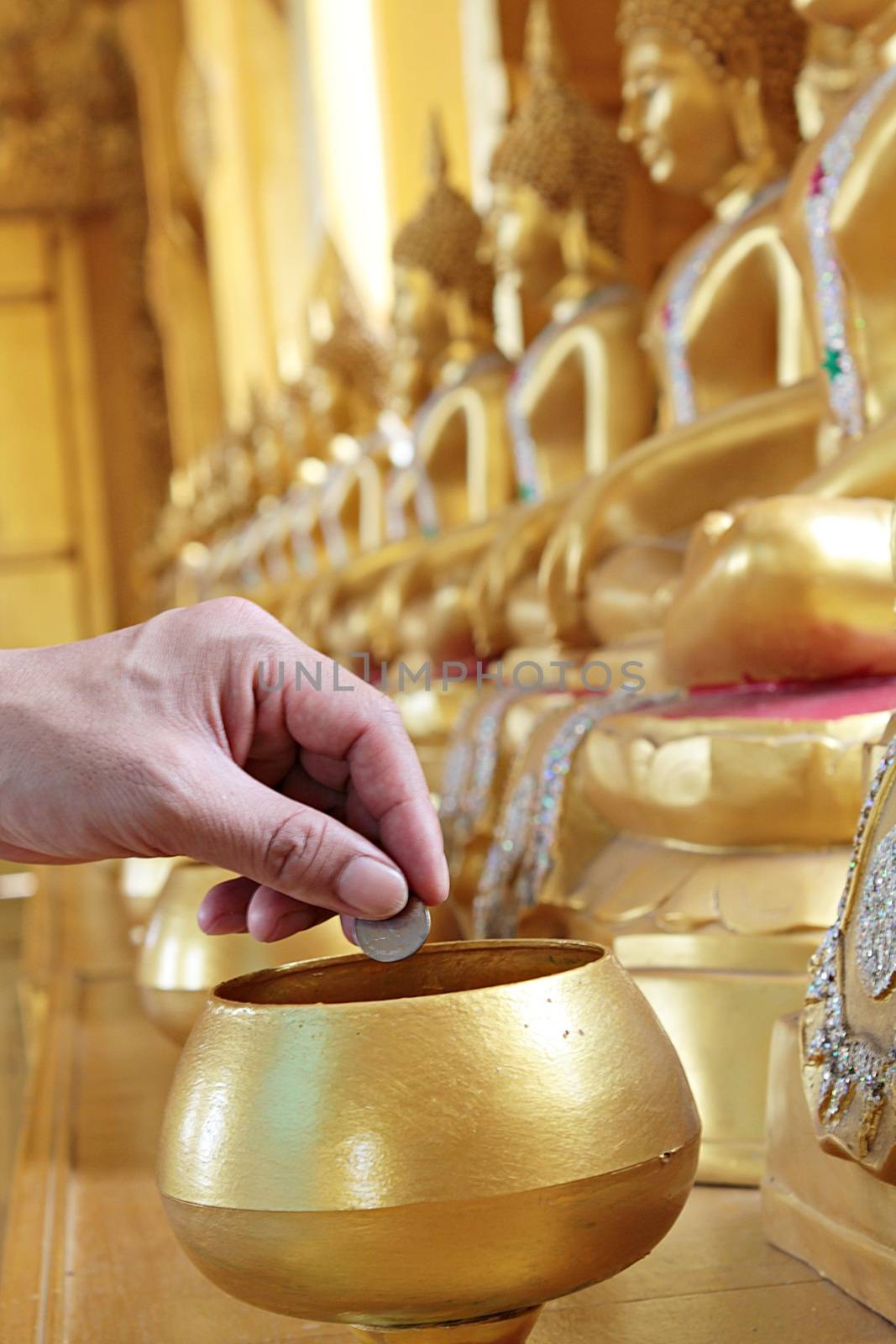 Give coin in alms bowl, a man put a Baht coin in a monk bowl for making merit or donation, buddhism Thai people donating money for temple, row of bowl