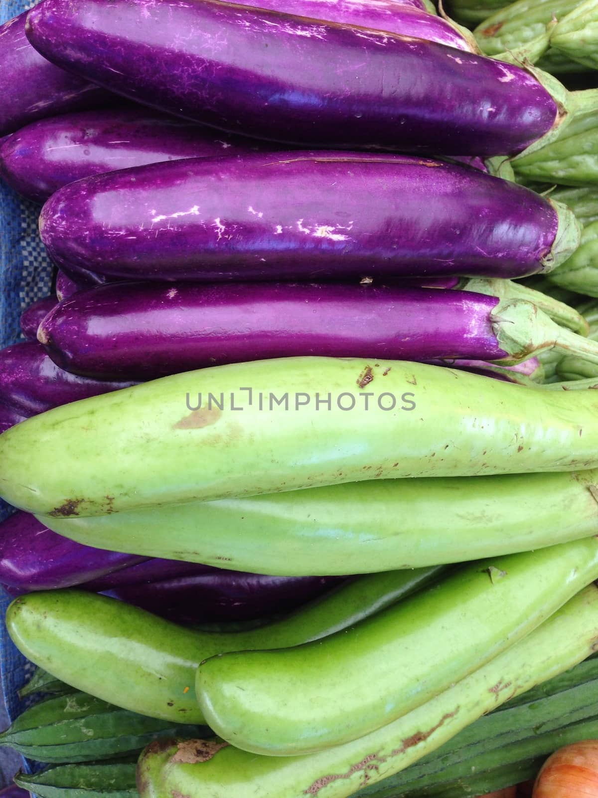 Closeup view of fresh eggplant, view group of many eggplant, a lot of eggplant, eggplant background