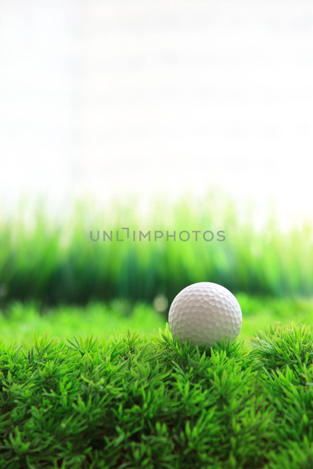 golf sport and green  by khunaspix