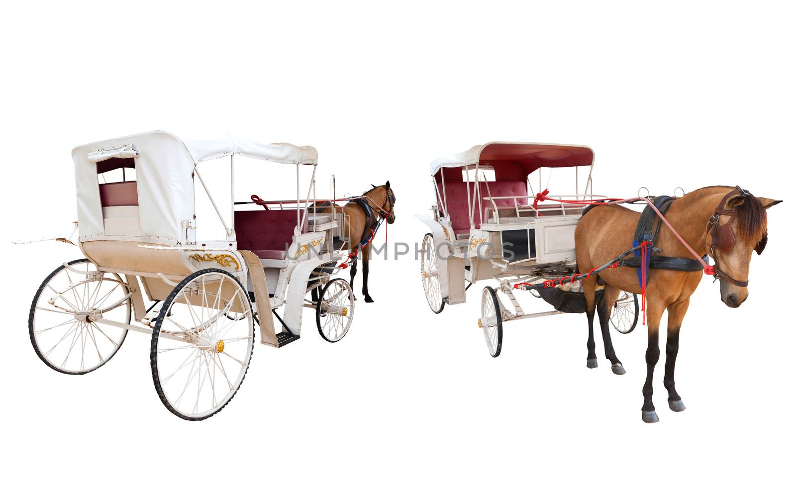 front and rear view of horse fairy tale carriage cabin isolated white background use for transport decoration object 