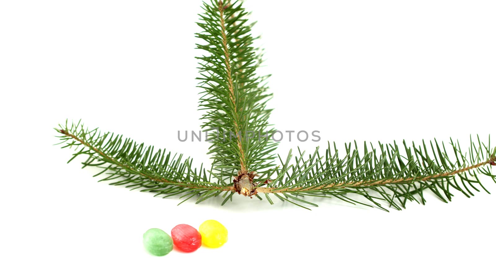 picture of a evergreen tree twigs and sweet candies