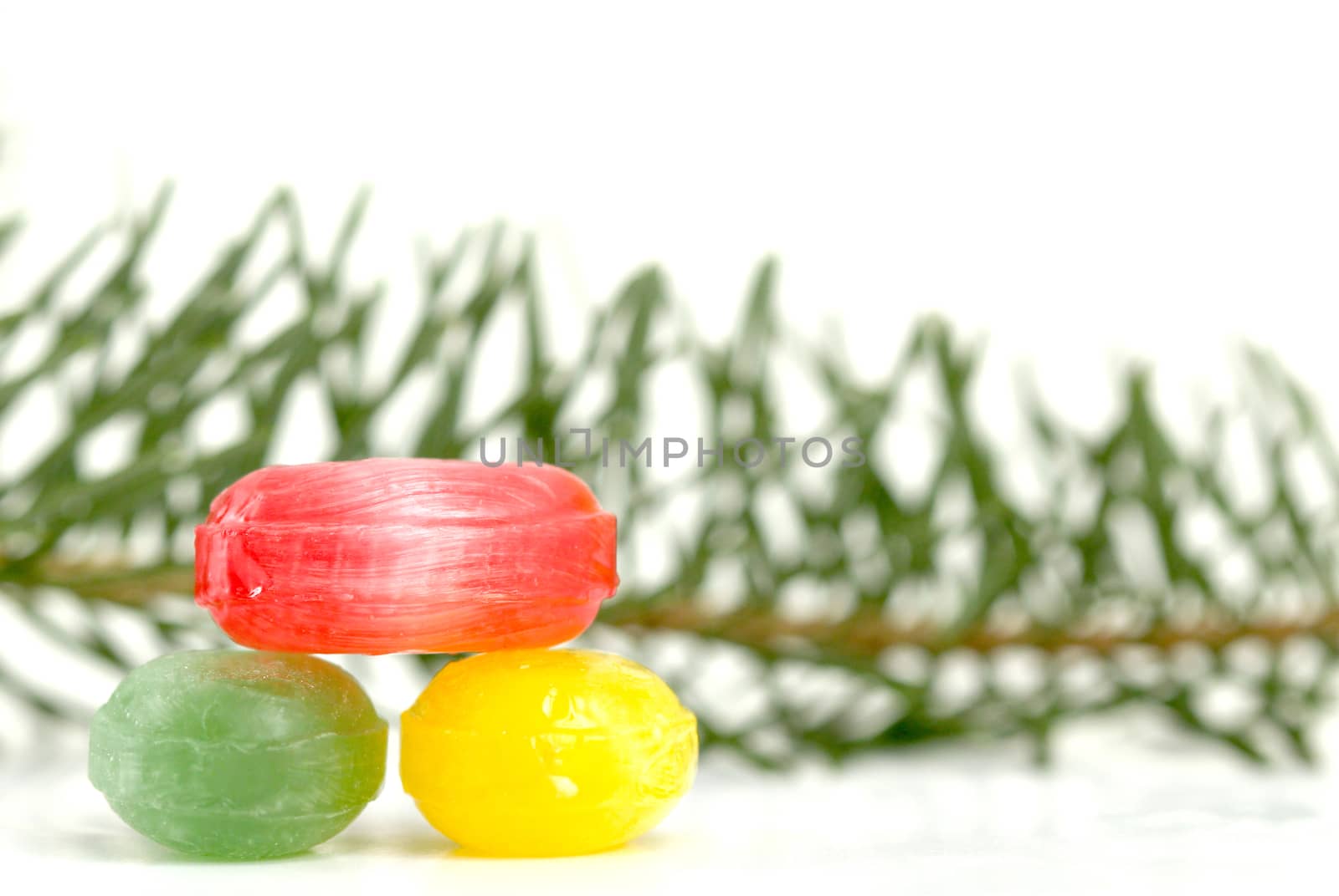 picture of a evergreen tree twigs and sweet candies