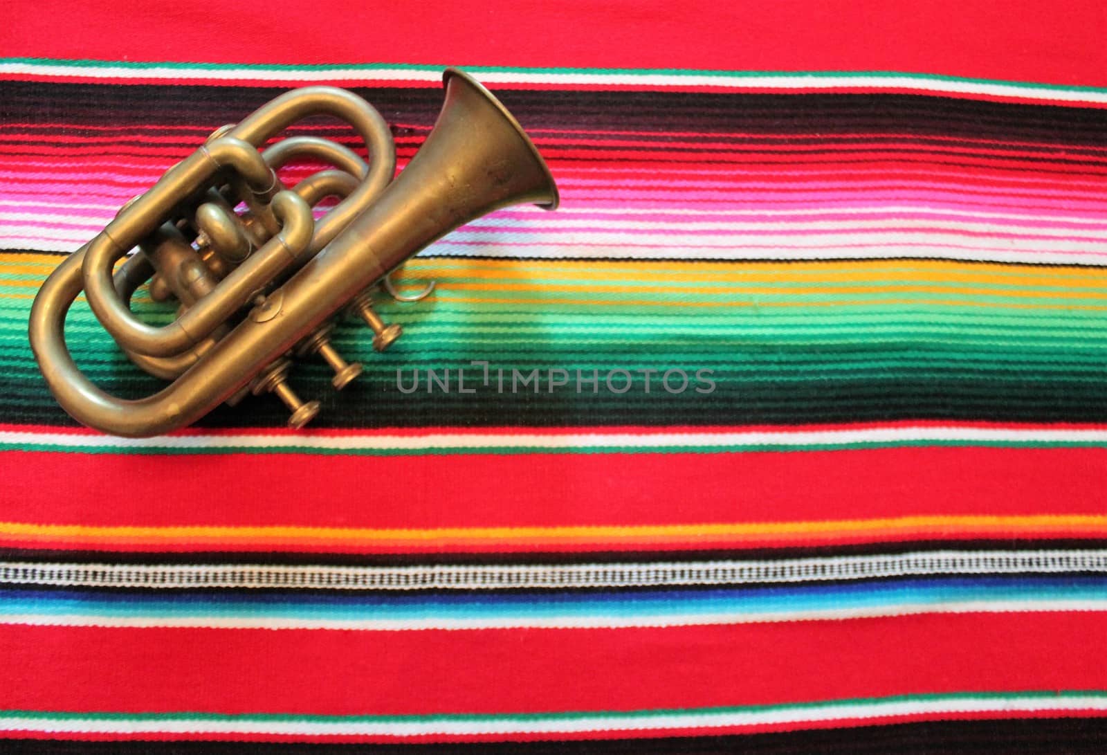 Mexico Mexican traditional cinco de mayo rug poncho fiesta background with stripes  by cheekylorns