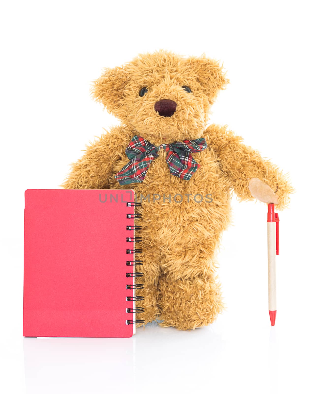 Teddy bear with pen and blank red notebook on white background