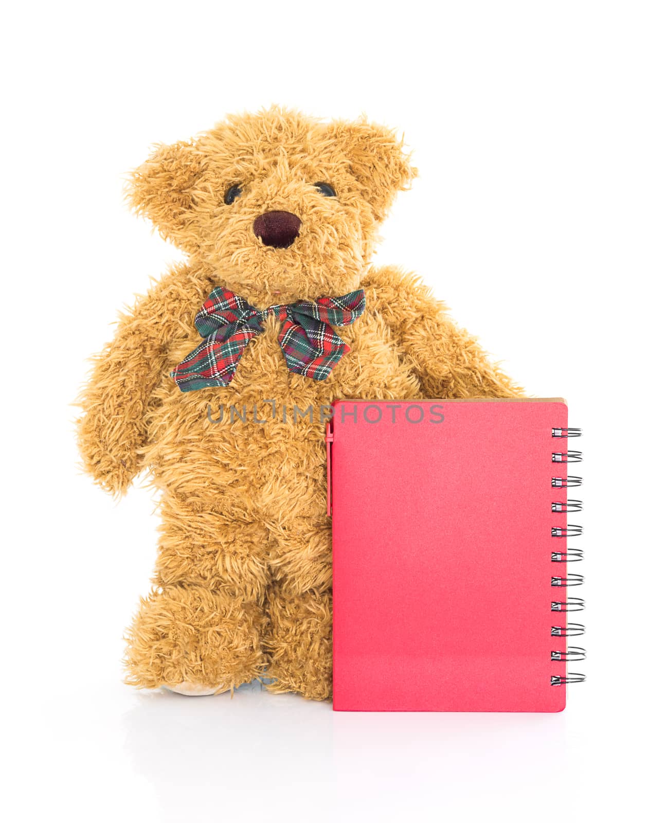 Teddy bear with pen and blank red notebook by stoonn