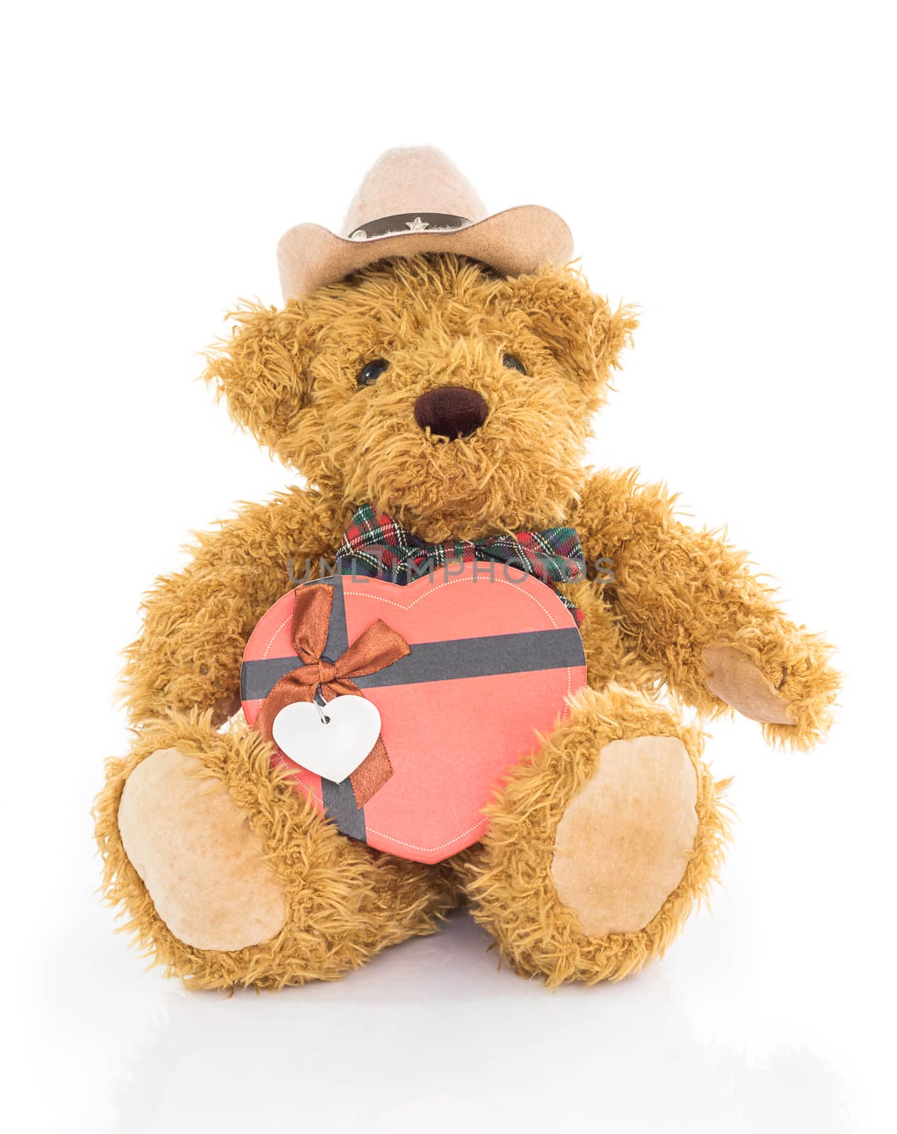 Teddy bear with 
Red heart shaped gift box on white background