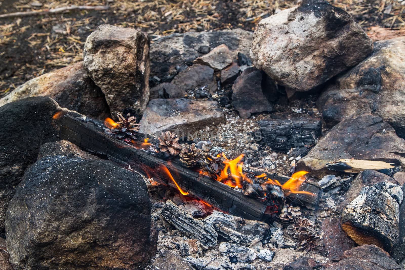 A campfire in the wilderness of north Finland