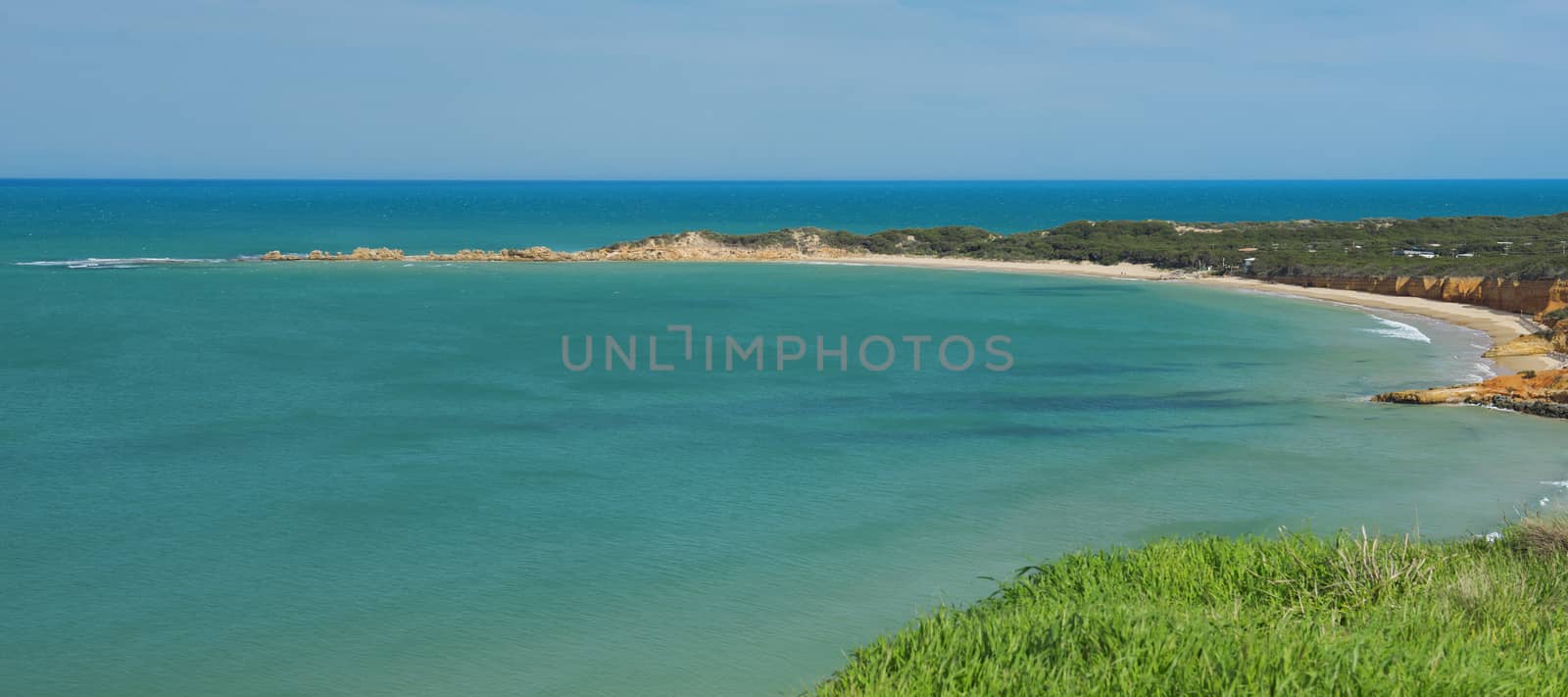 Beautiful view of the ocean on a sunny day from Apollo Bay lookout. Great Ocean Road, Australia.