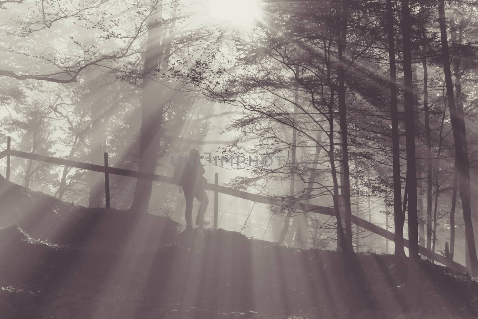 Traveler with backpack staying in forest, near a wooden fence, enjoying the warm sun rays passing through fog