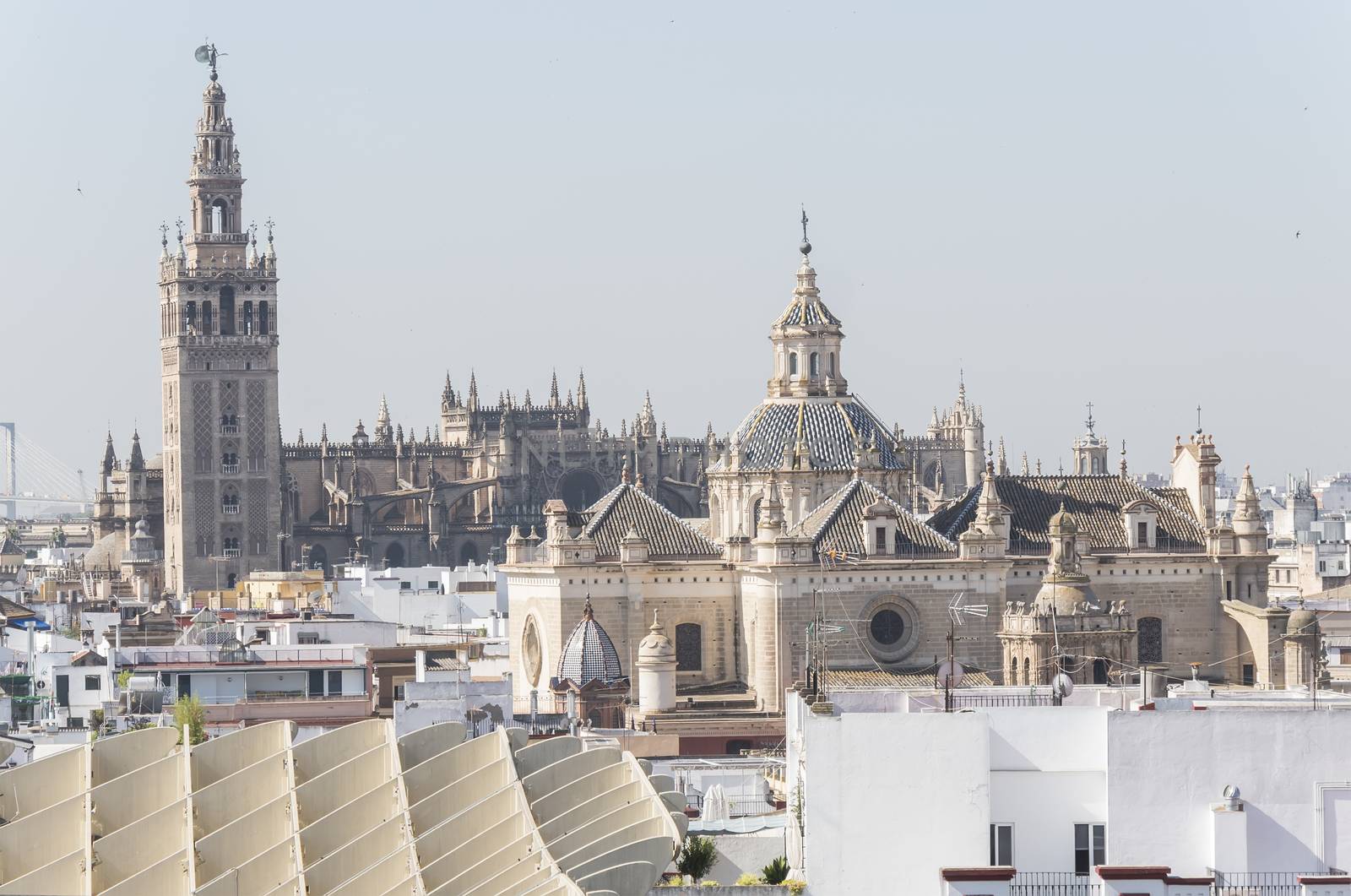 Collegiate Church of the Divine Savior, Seville Cathedral and Gi by max8xam