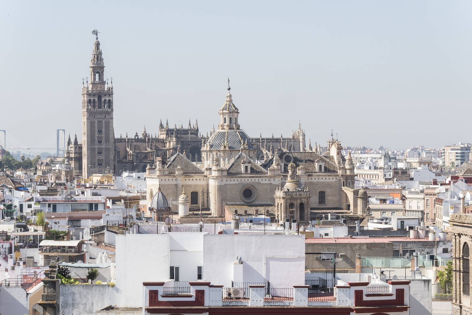 Collegiate Church of the Divine Savior, Seville Cathedral and Gi by max8xam