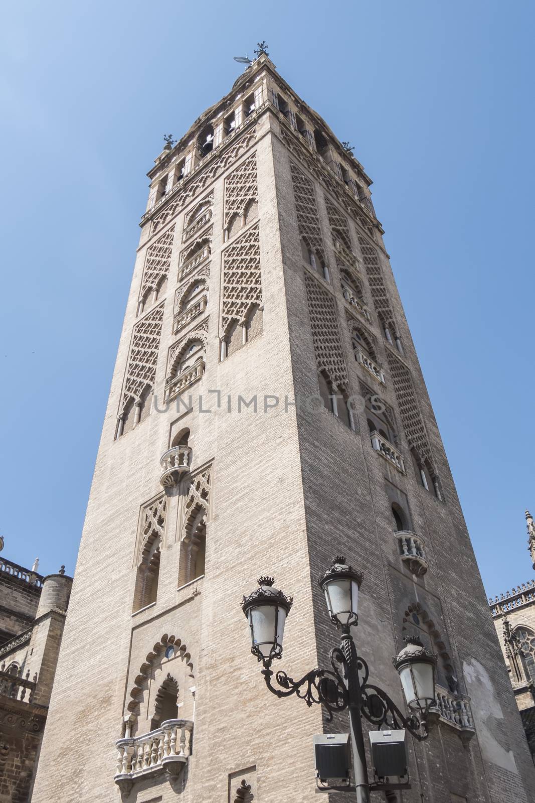 Giralda Tower, Seville Cathedral, Sapin by max8xam