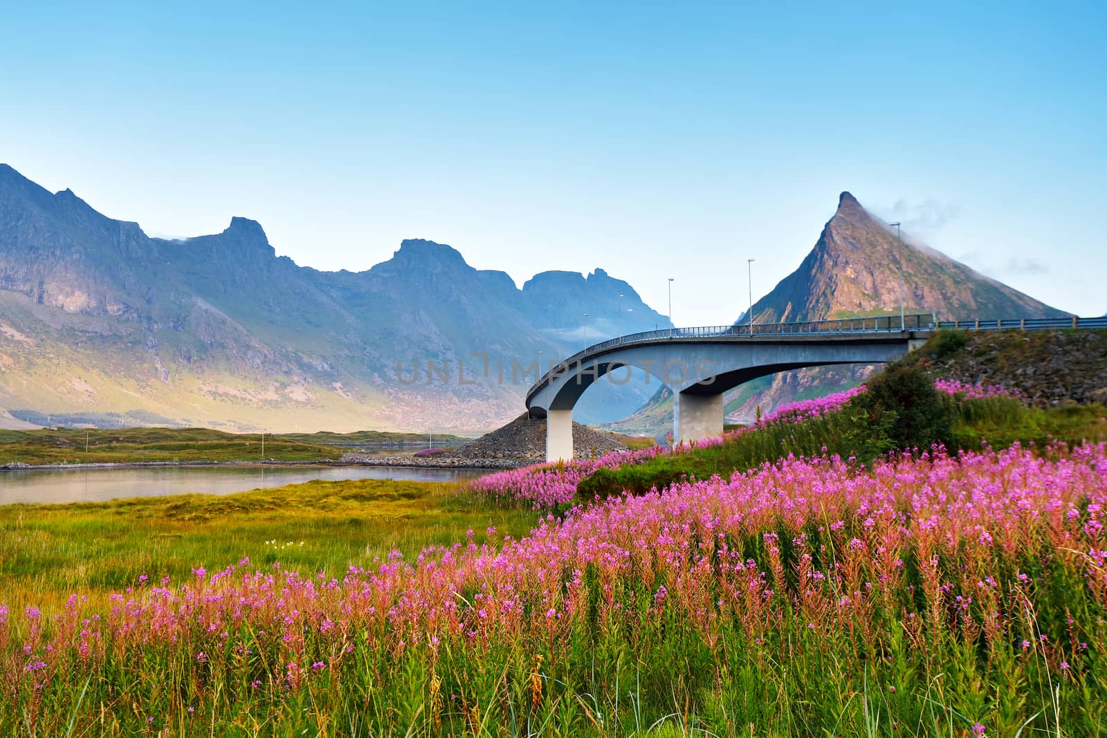 Norway sunny summer day. Bridge over the fjord on Lofoten islands