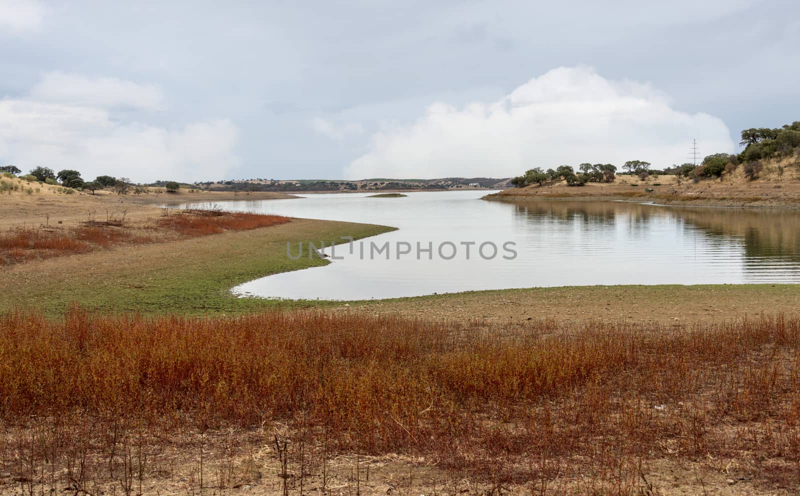 water in lake pond in alentejo mPortugal near Moura