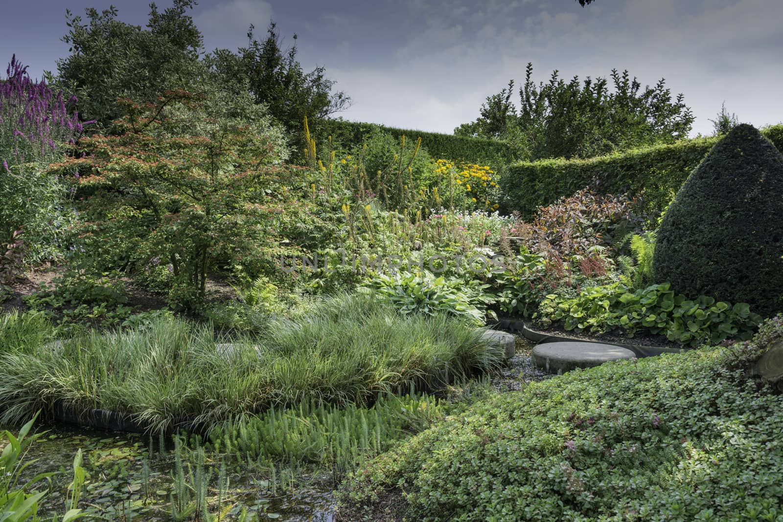 english garden with wild flowers and big stones at small pond