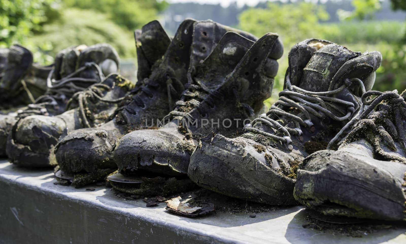 row of old leather worn out shoes in garden
