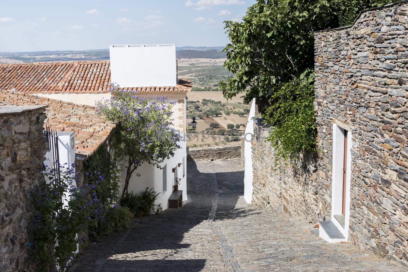 view form monsaraz in portugal over the landscape alentejo