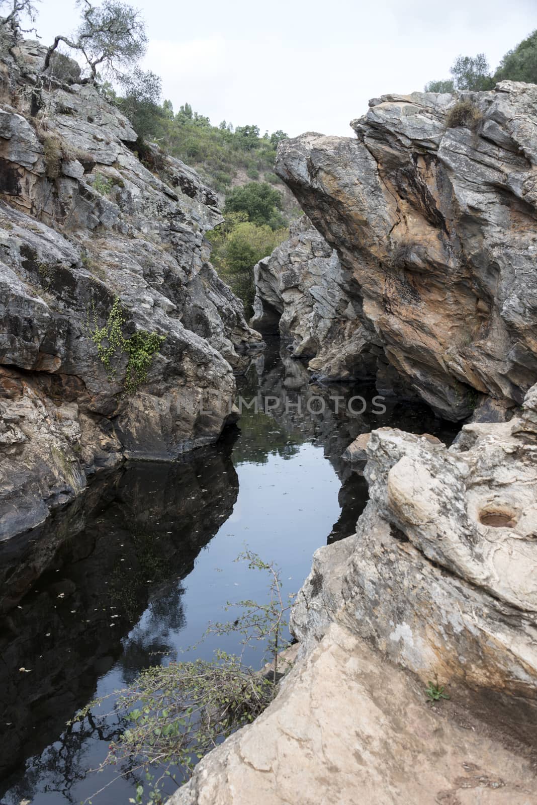 small river with pond in nature portugal near odemira called pego des pias vertical