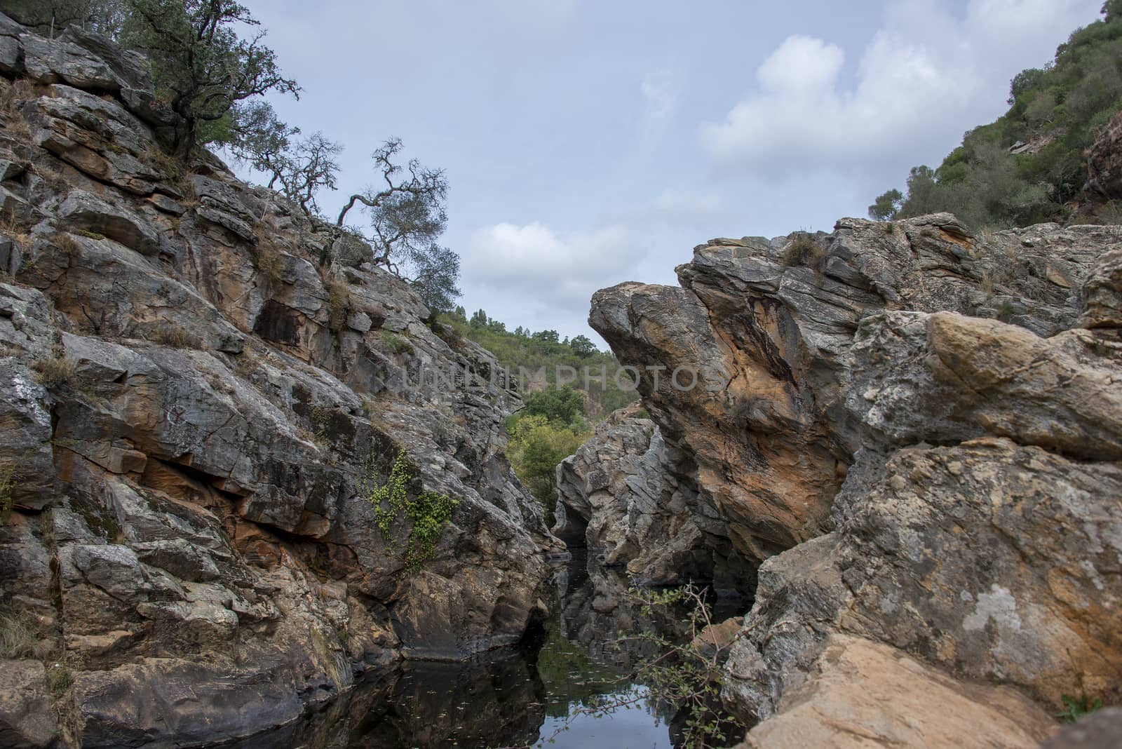 small river with pond in nature portugal near odemira called pego des pias