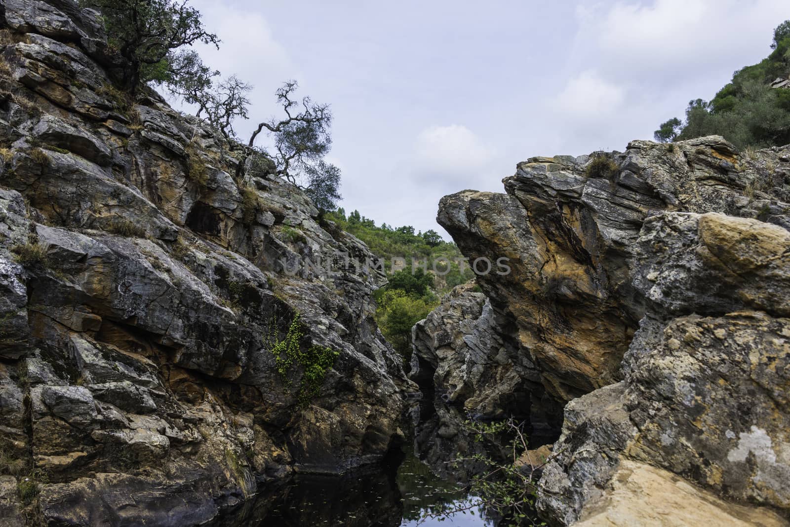 small river with pond in nature portugal near odemira called pego des pias