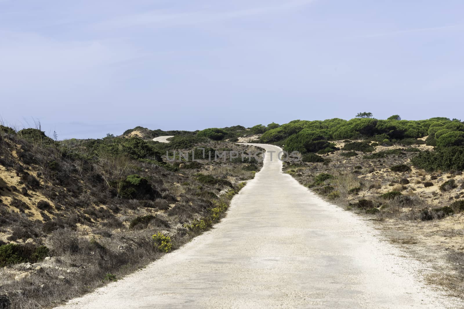 empty road near the coast of portugal with green plants and sand