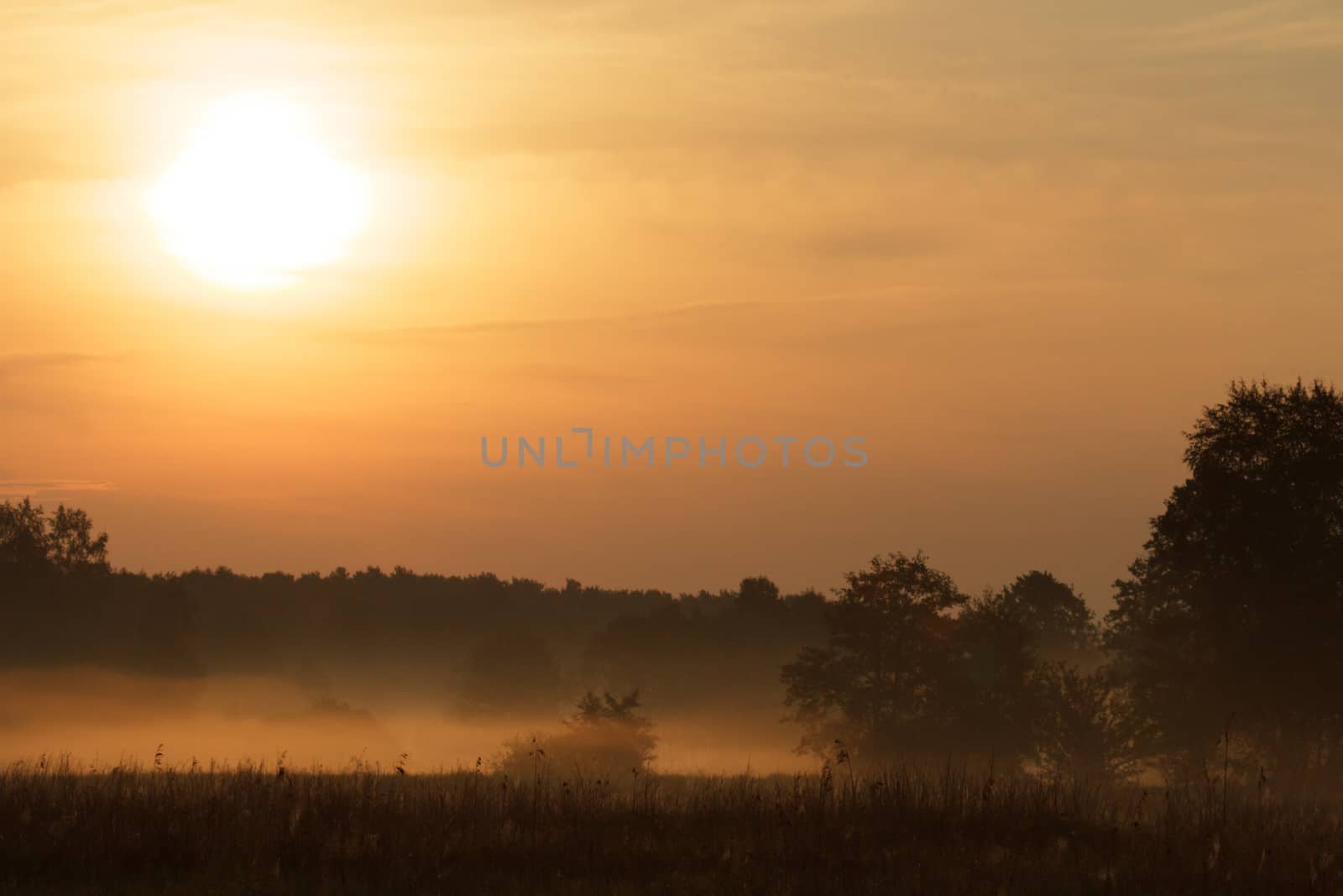 yelow sky, natural clouds, nature series