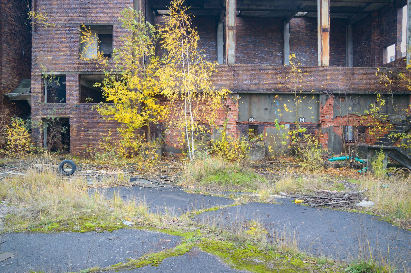 ruins of a very heavily polluted industrial factory, industrial series