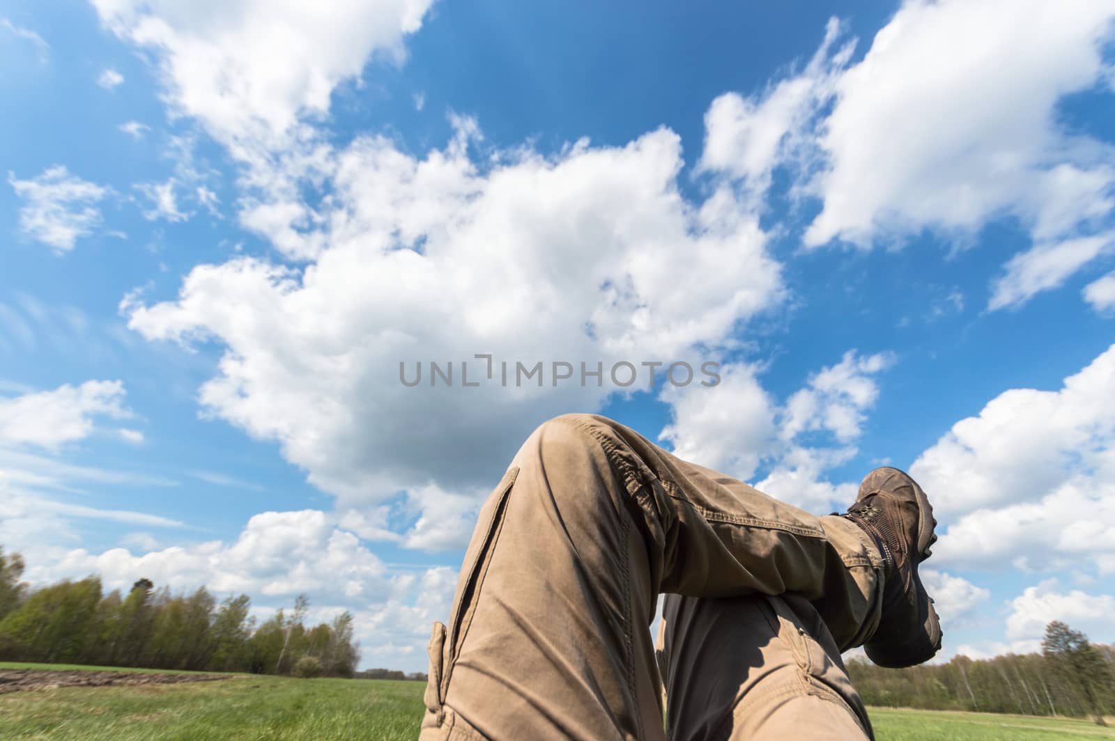 natural green colorful rural meadow, nature series