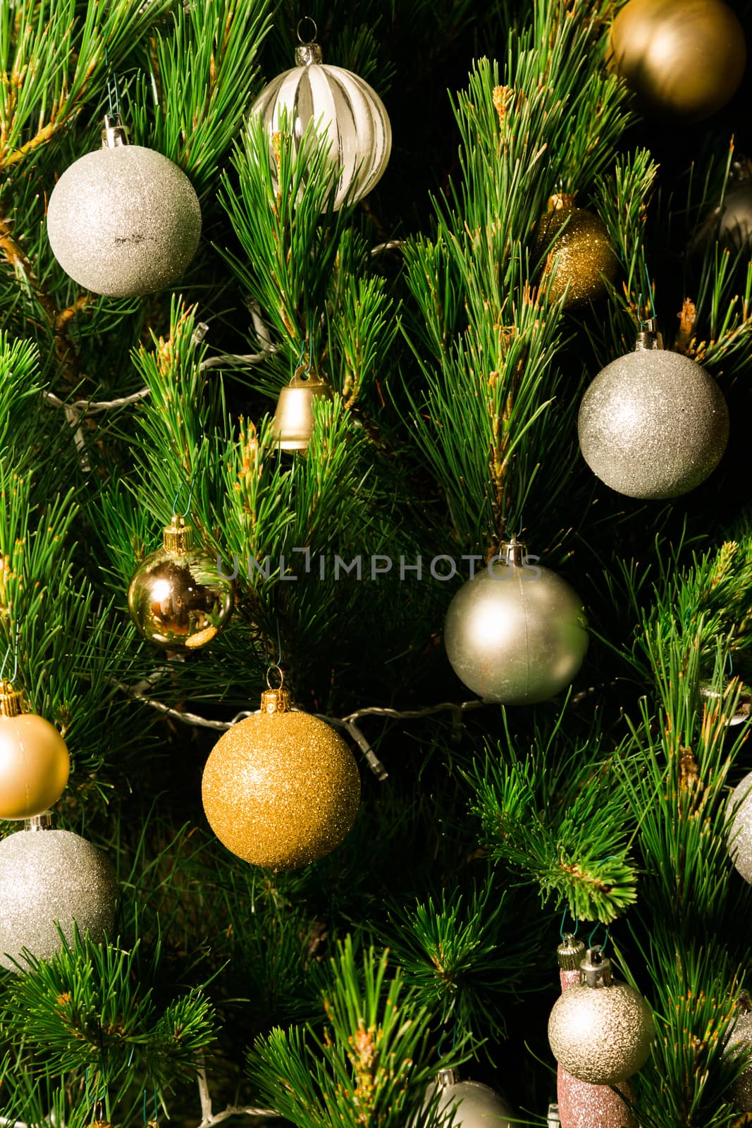 Real Christmas Tree with Silver and gold Chistmas decorations