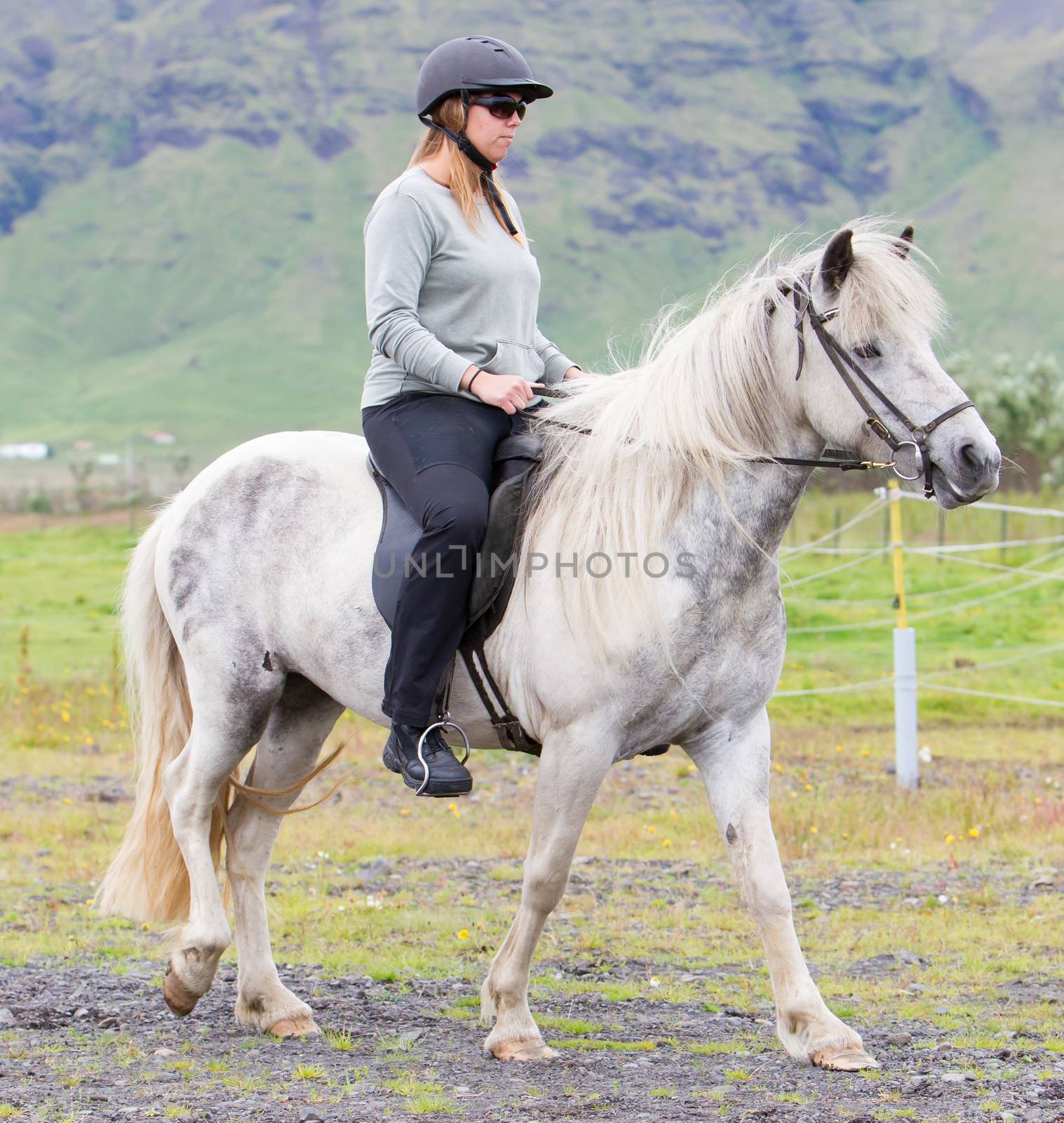 Woman riding a horse on the green field