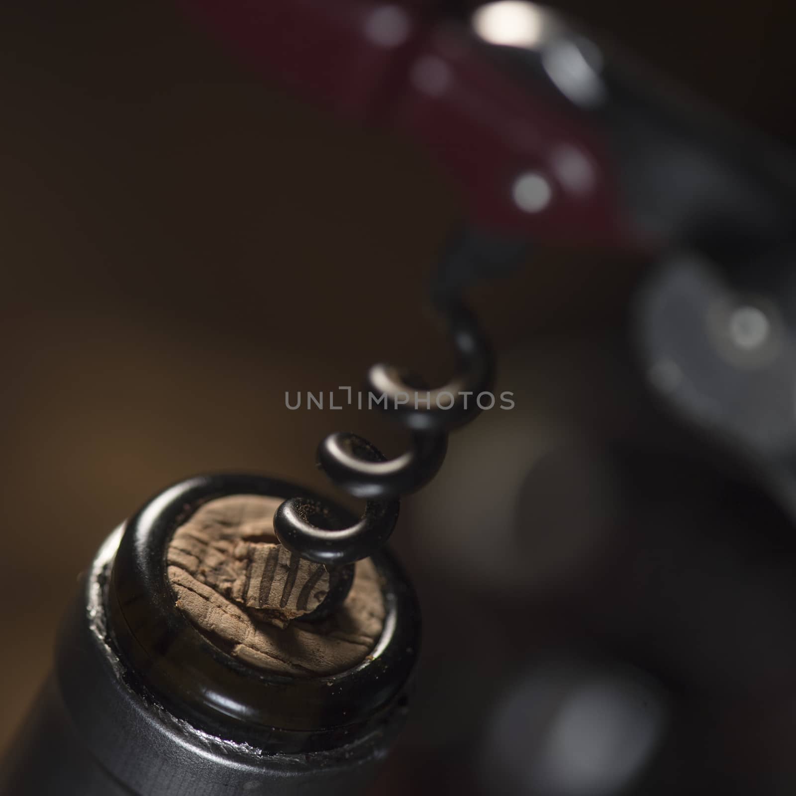 Opening a wine bottle with corkscrew, white background, Winery
