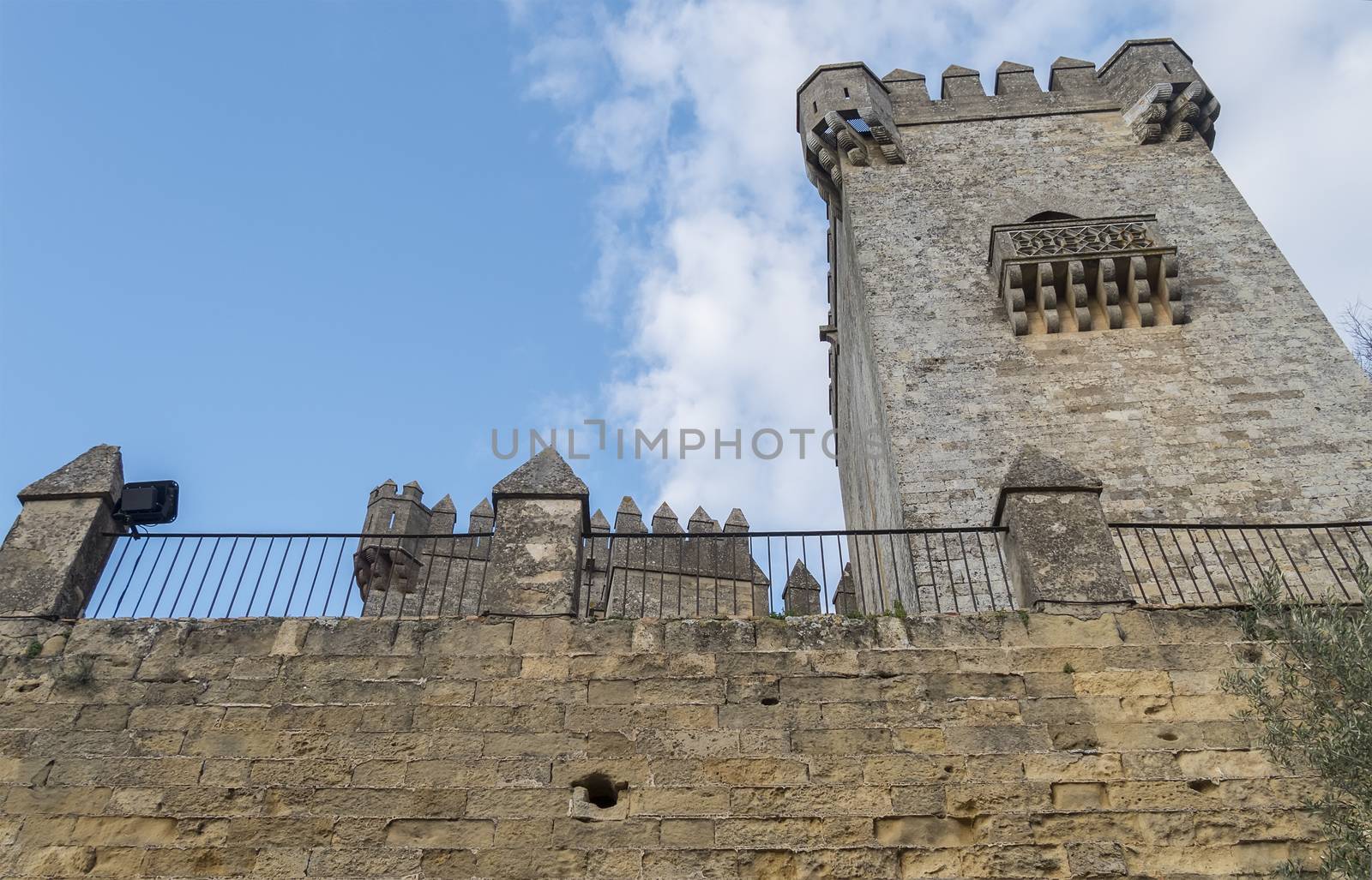 Almodovar del rio Castle, Cordoba, Spain by max8xam