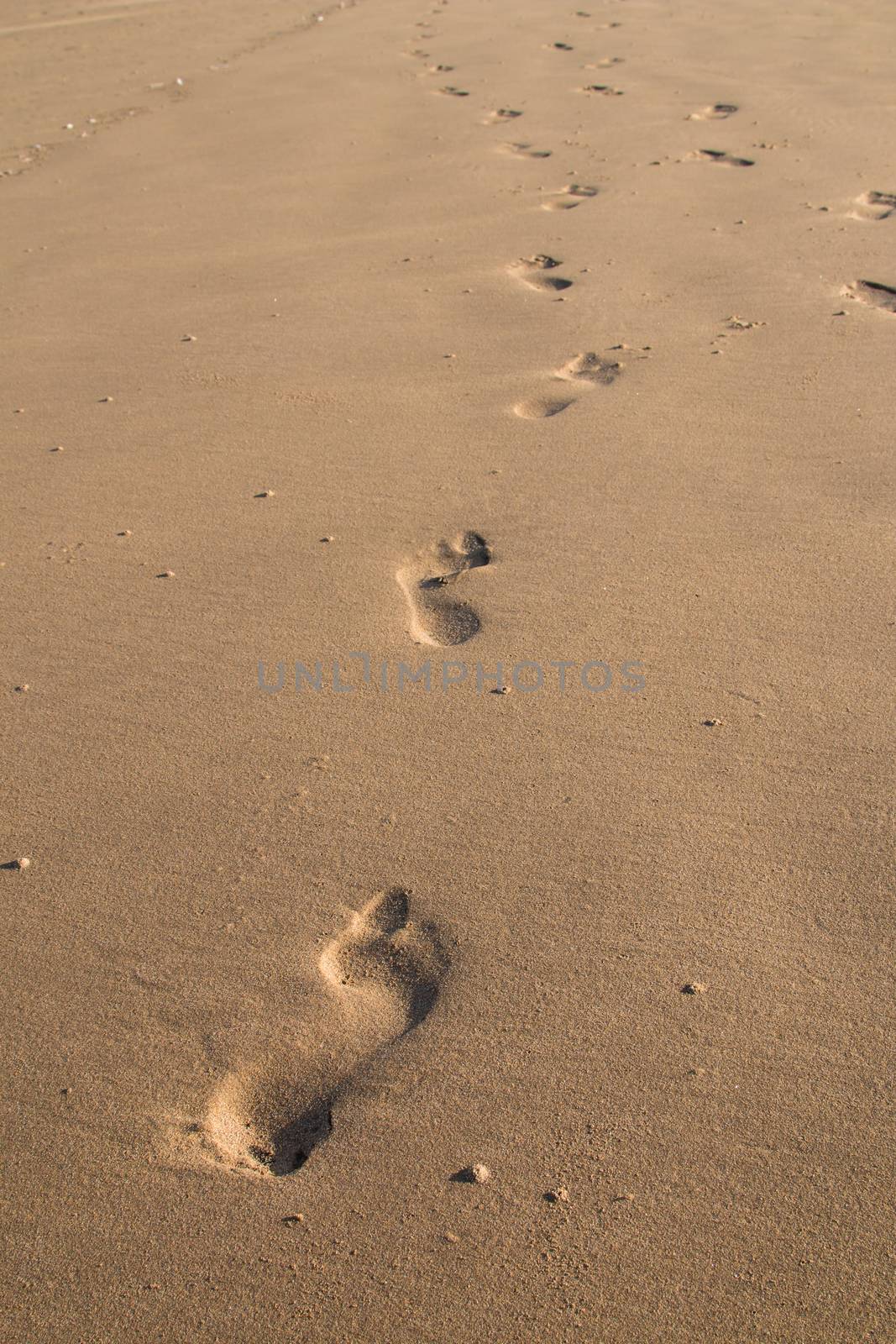 Footprints in the sand by YassminPhoto