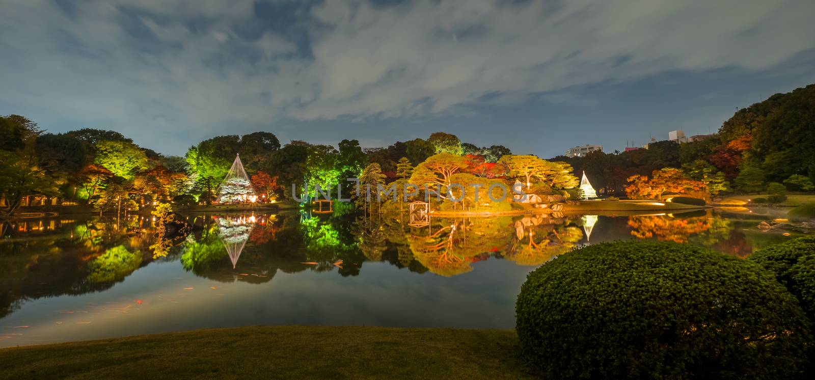 Autumn illumination at Rikugien Garden