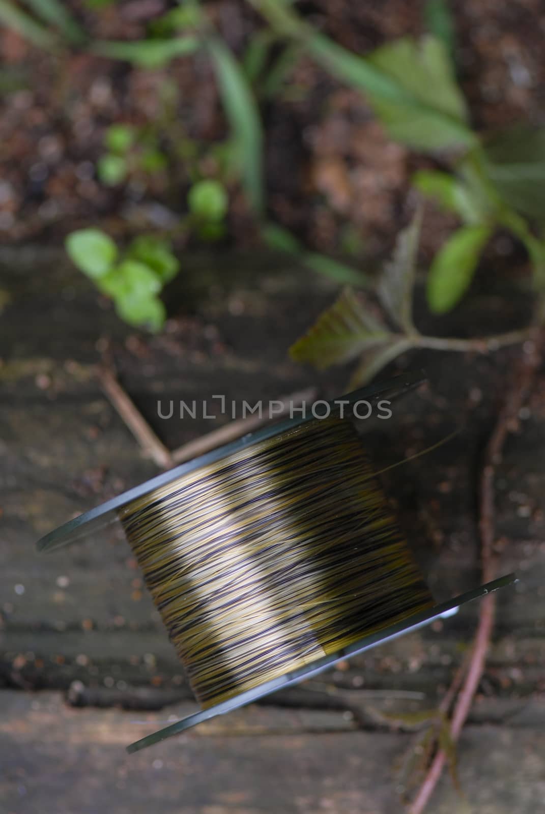 Nylon line used for sport fishing isolated on the ground, France