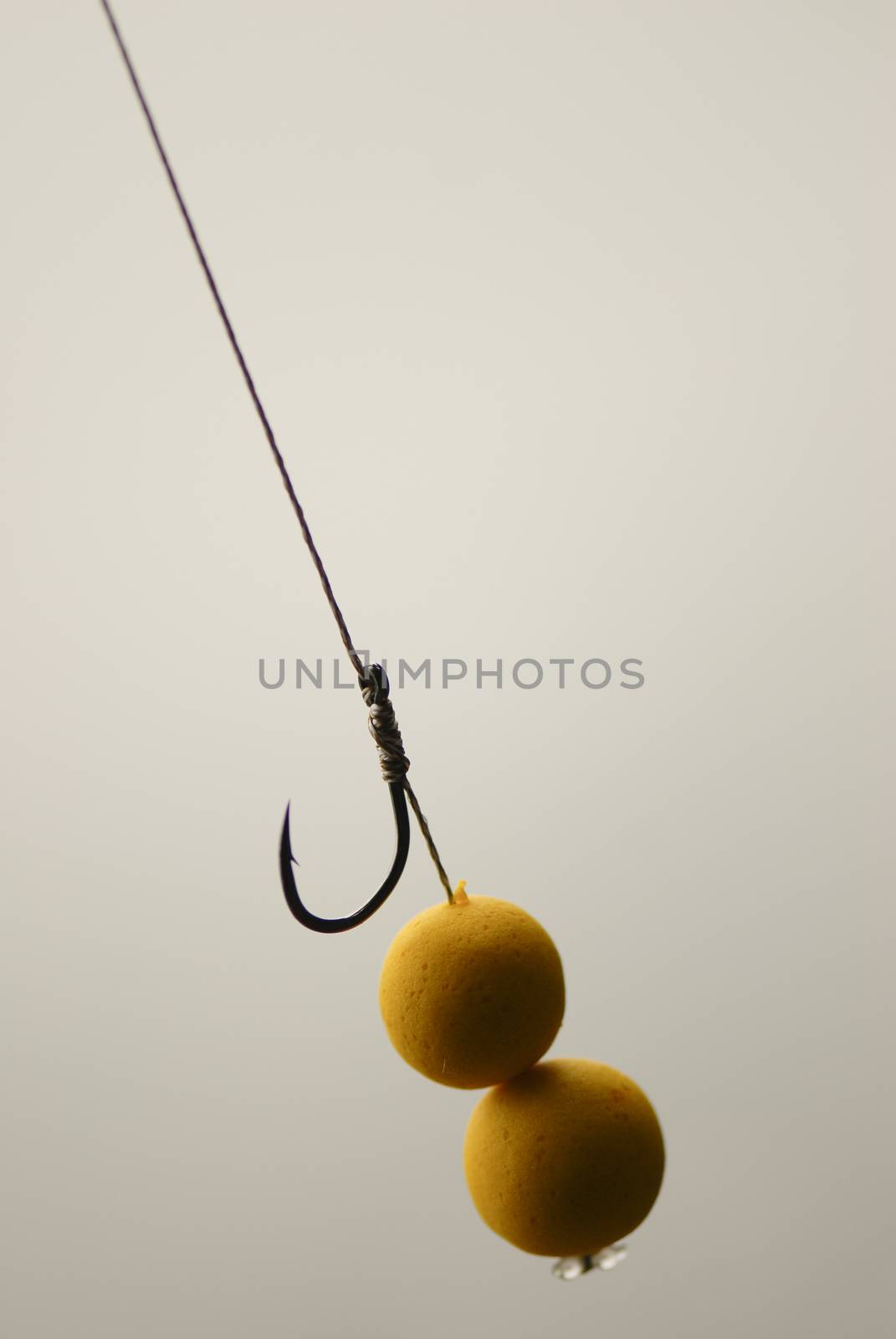 Fishing rig pop up in bait outdoor